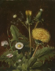 Stillleben mit Löwenzahn